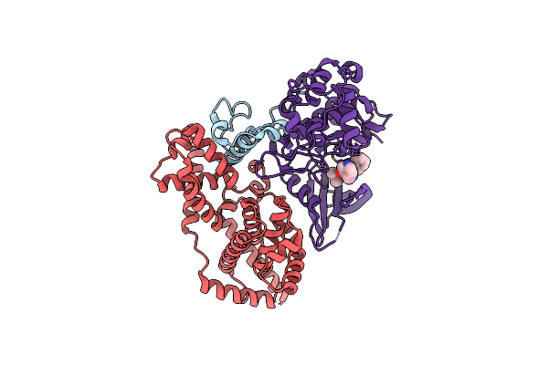7B5O image