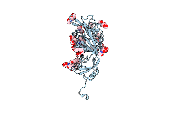 7B62 image