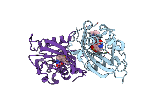 7B63 image
