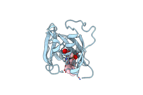 7B64 image