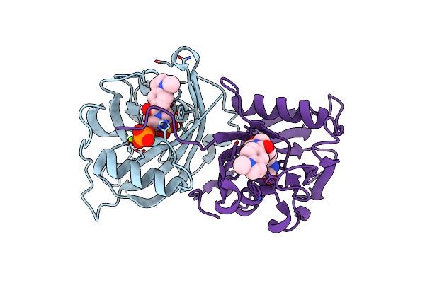 7B67 image