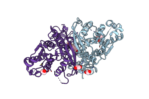 7B6B image