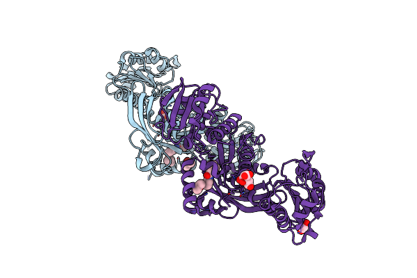 7B6P image