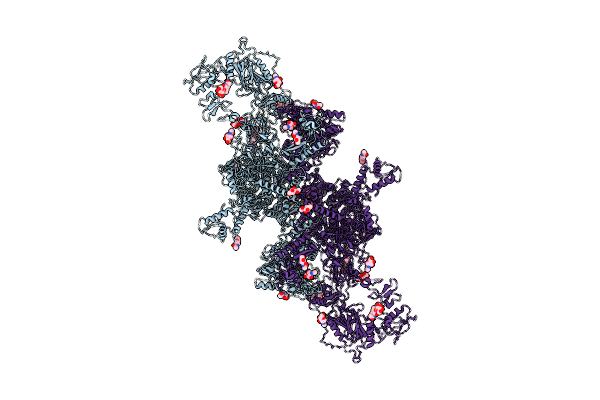 7B75 image