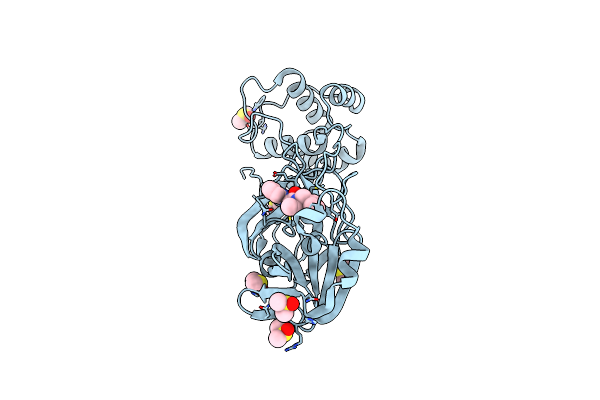 7B77 image