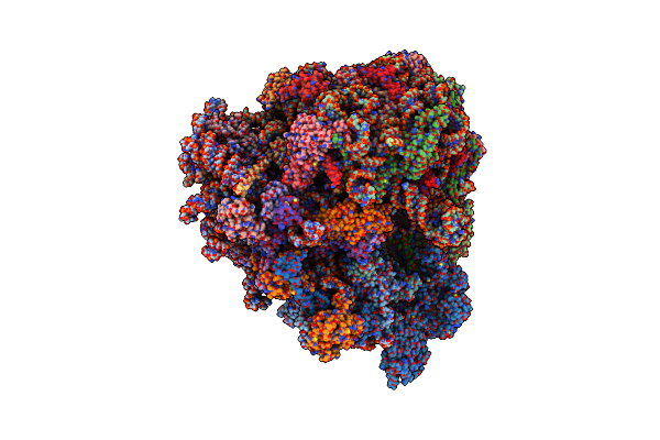 7B7D image