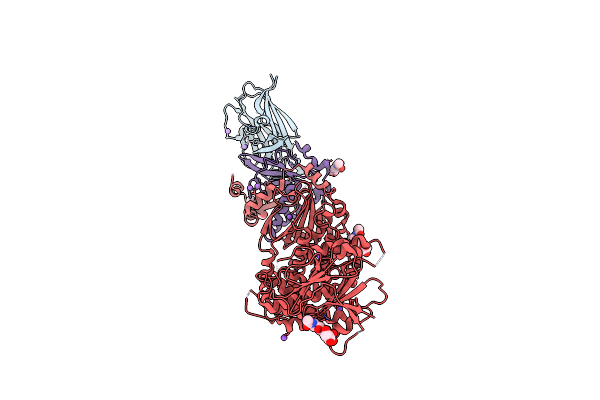 7B7N image