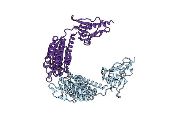 7B7P image