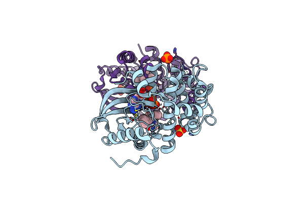 7B7R image