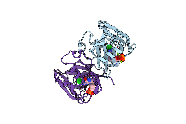 7B7V image