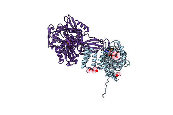 7B80 image