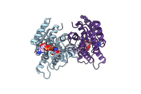 7B81 image