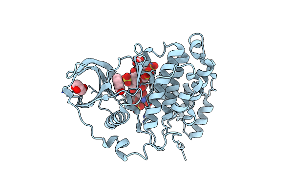 7B8H image