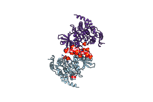 7B8I image