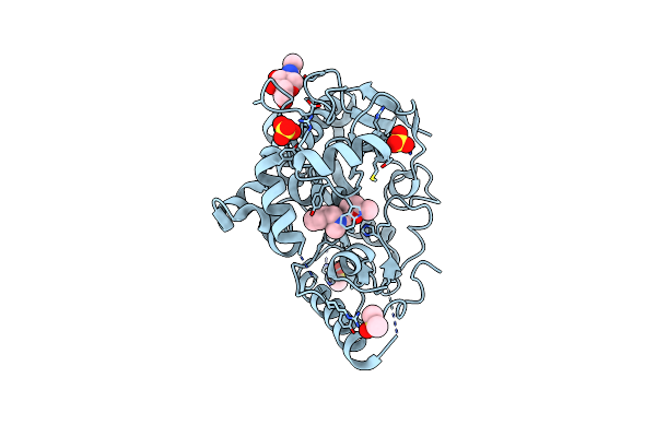 7B8X image