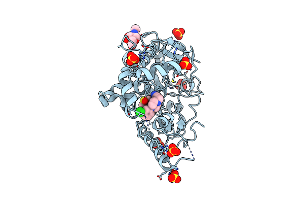 7B8Z image