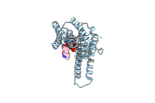 7B9M image