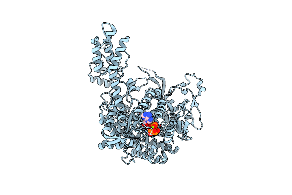 7B9P image