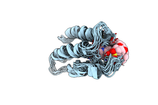 7B9X image