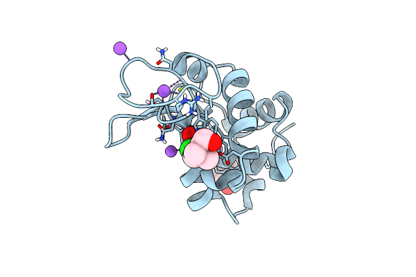 7BB1 image