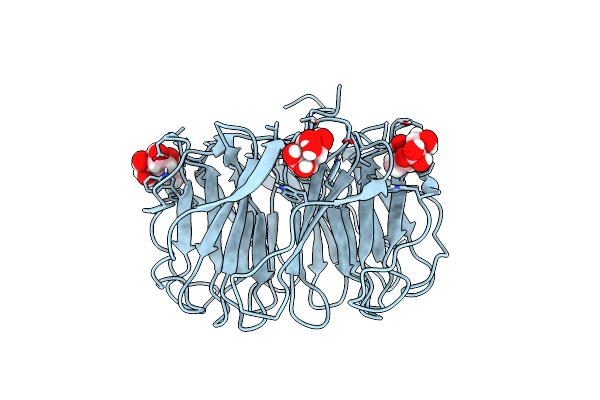 7BBC image