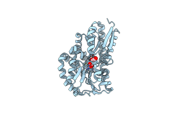 7BCN image