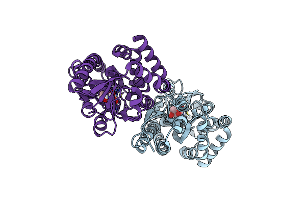 7BCO image