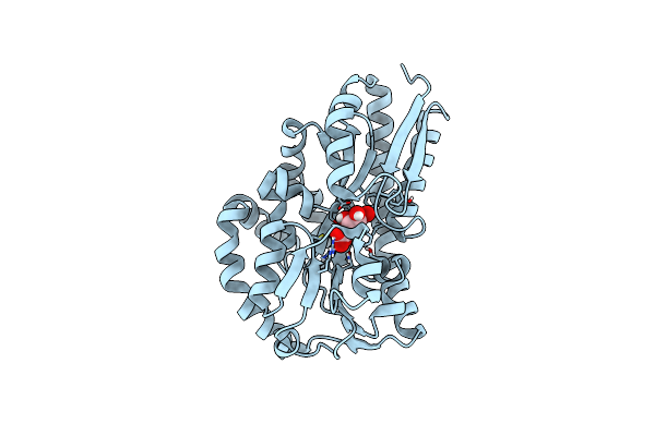 7BCP image