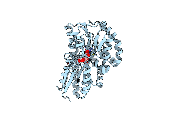 7BCR image