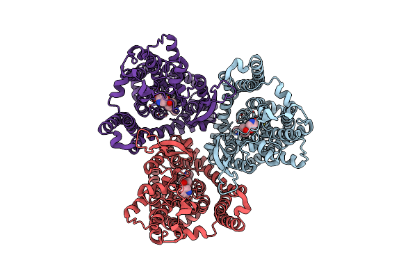 7BCS image