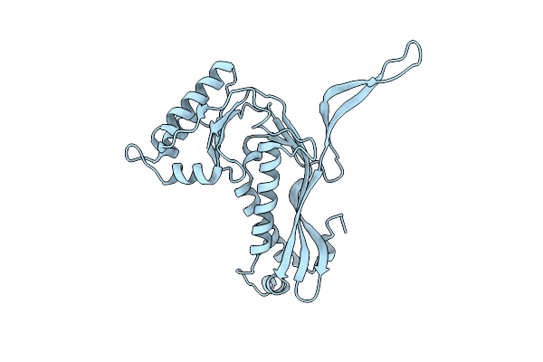 7BCV image
