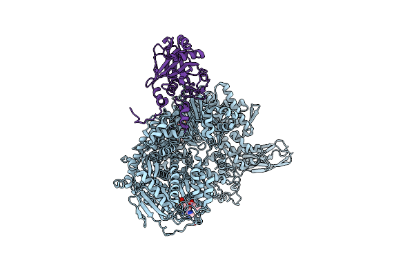 7BDL image