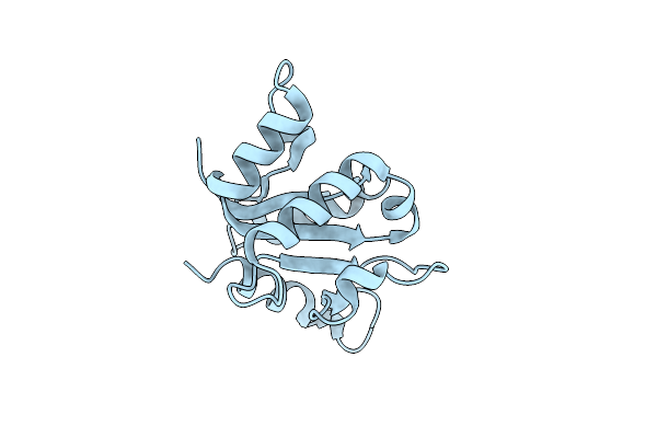 7BER image