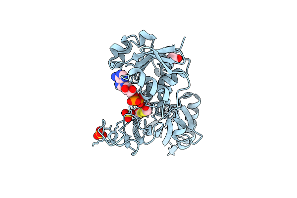7BEX image
