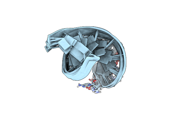7BFS image
