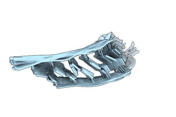 7BFX image
