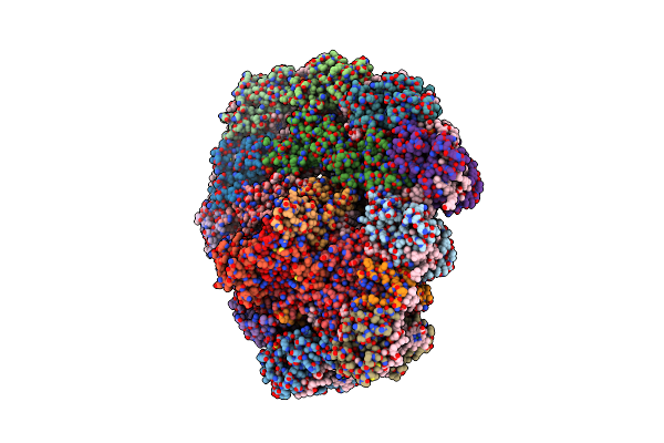 7BGI image