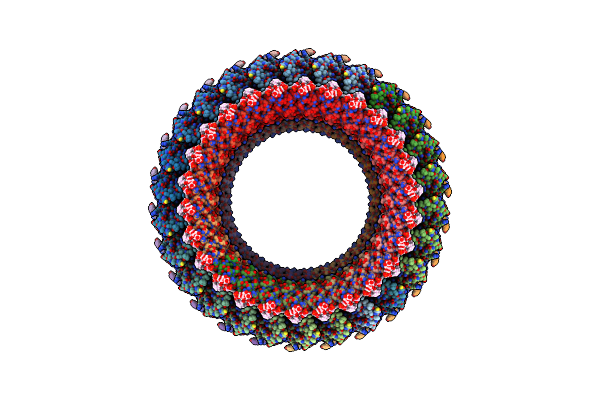7BGL image