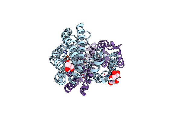 7BHC image
