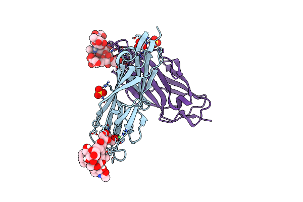 7BHD image