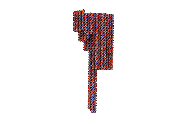 7BHO image