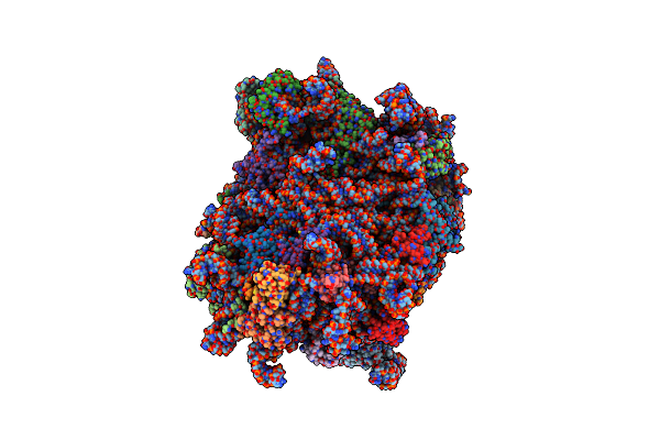 7BHP image