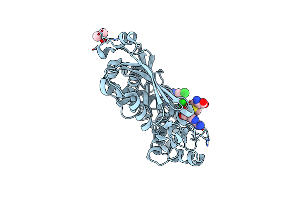 7BHT image