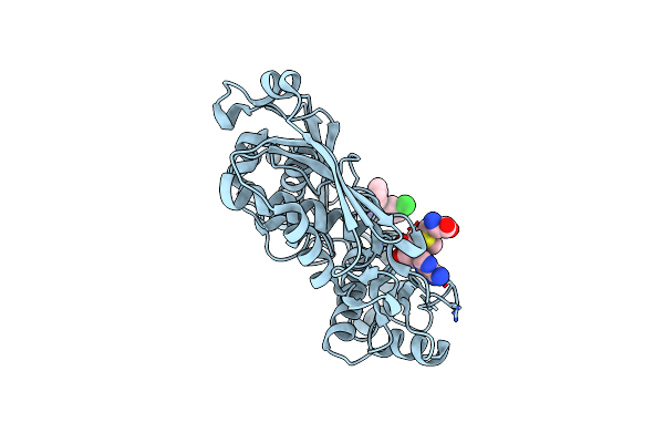 7BHV image