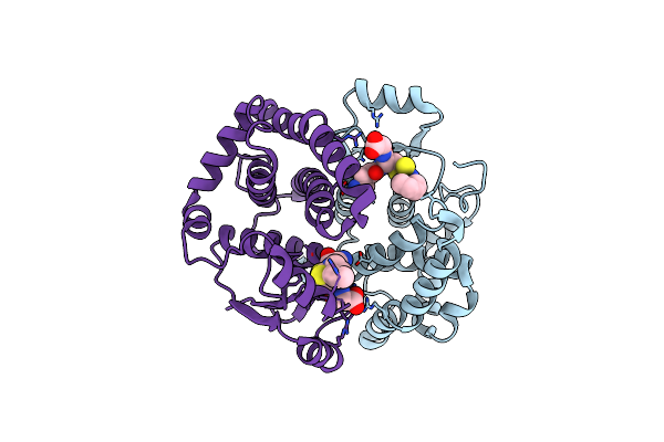 7BIB image