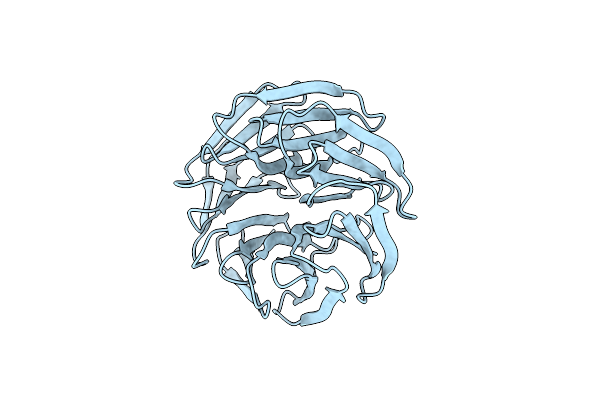 7BID image