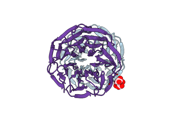 7BIE image