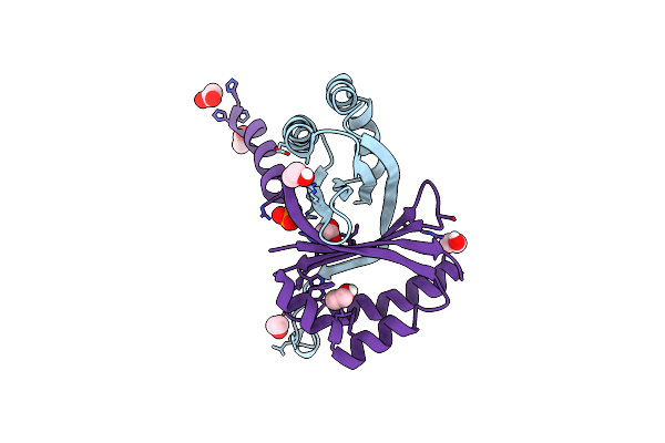 7BIO image