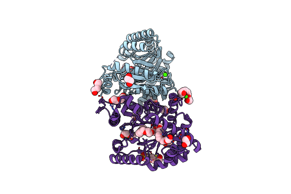 7BIP image