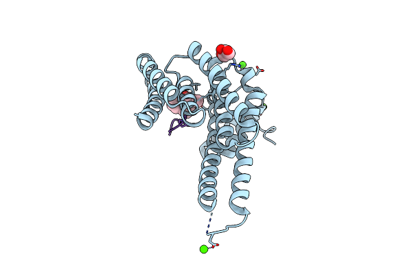 7BIQ image